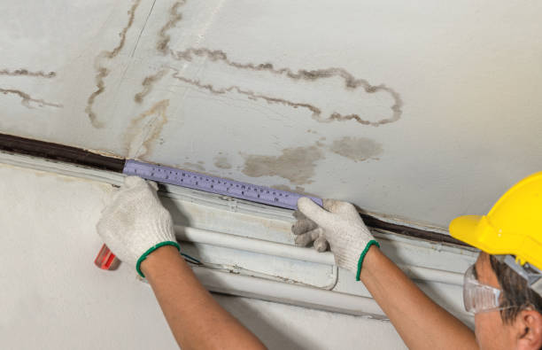 Reliable Water Damage Repair contractor in Wharton, WV by Hirex Water Damage